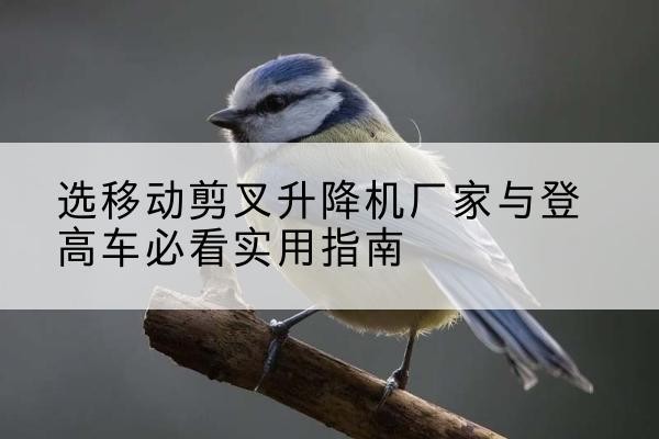 武山电动升降机厂家-选移动剪叉升降机厂家与登高车必看实用指南