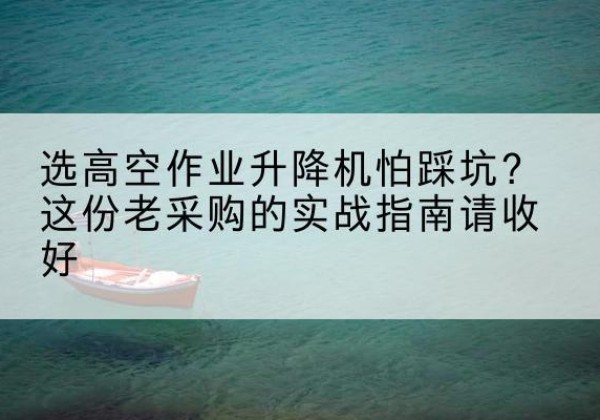 武山高空作业升降机厂家推荐-选高空作业升降机怕踩坑？这份老采购的实战指南请收好