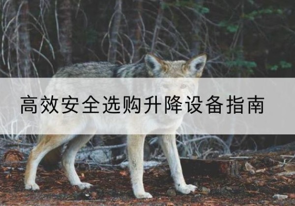 武山升降货梯厂家推荐-*安全选购升降设备指南