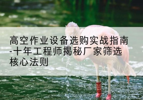 武山剪叉式升降机厂家-高空作业设备选购实战指南-十年工程师揭秘厂家筛选核心法则