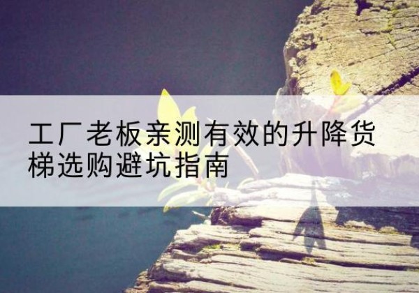 武山升降货梯怎么选-工厂老板亲测有效的升降货梯选购避坑指南